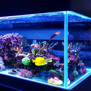 Fish tank made from acrylic sheet